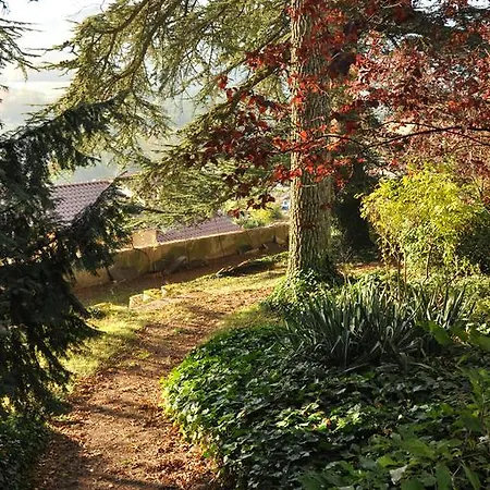 ベッド・アンド・ブレックファスト Les Jardins De L'hacienda 3*